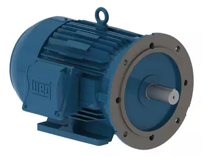 Motor Elétrico Trifásico 15cv 220/440v Ip55 W22 11706060 Weg